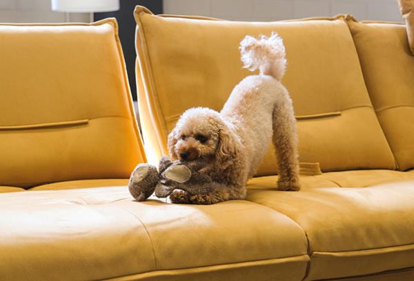 Case vere, momenti veri