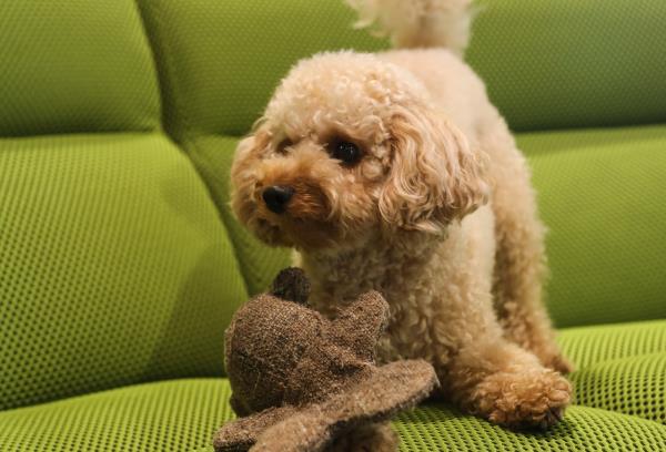 Novit� Catalogo Primavera 2024